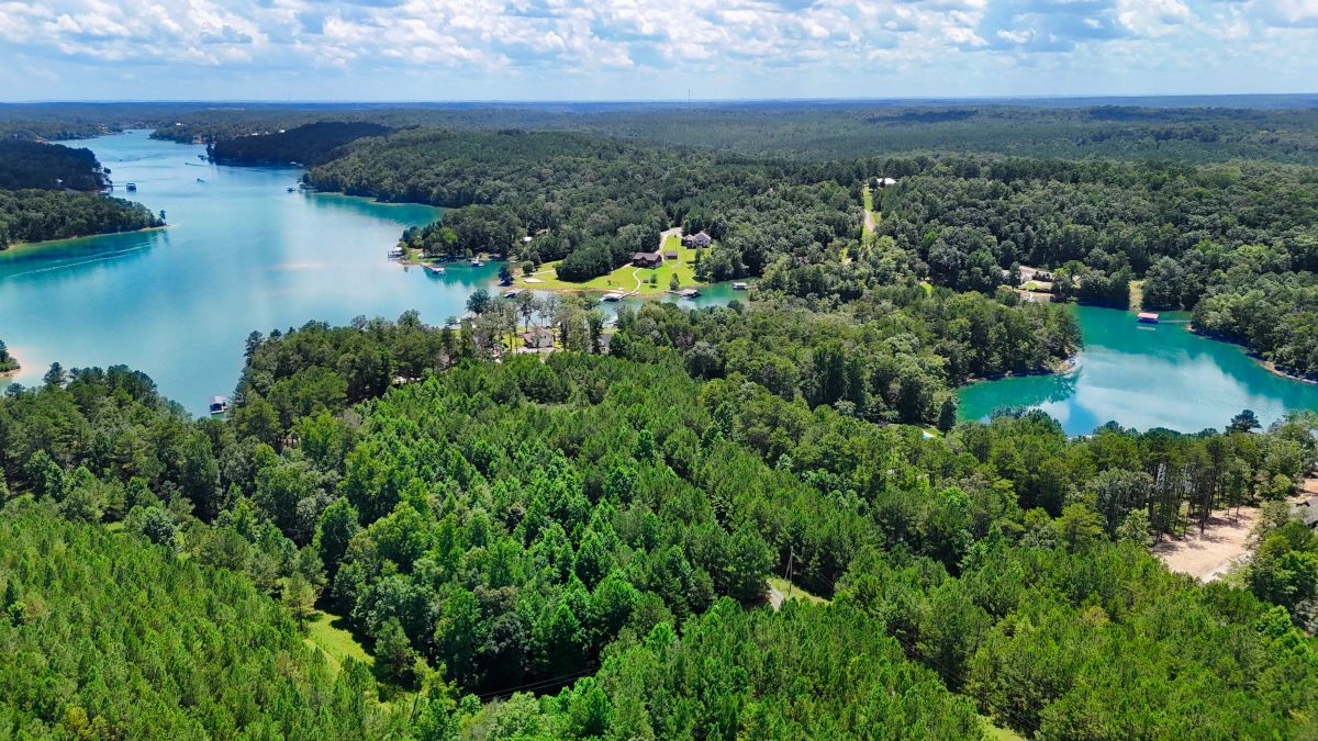 Decorative background for 1.59 Acres Near Lake w/ Public Water - LAKE VIEWS image 9
