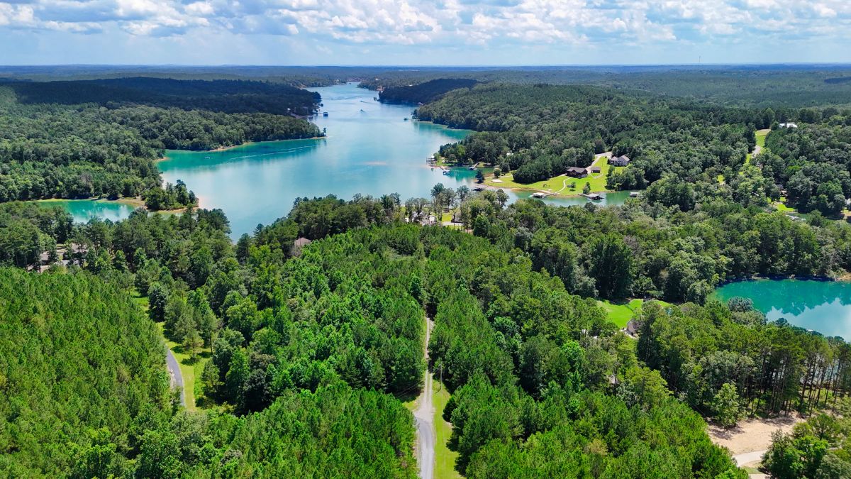 Decorative background for 1.59 Acres Near Lake w/ Public Water - LAKE VIEWS image 10