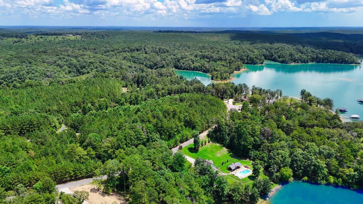 Decorative background for 1.59 Acres Near Lake w/ Public Water - LAKE VIEWS image 11