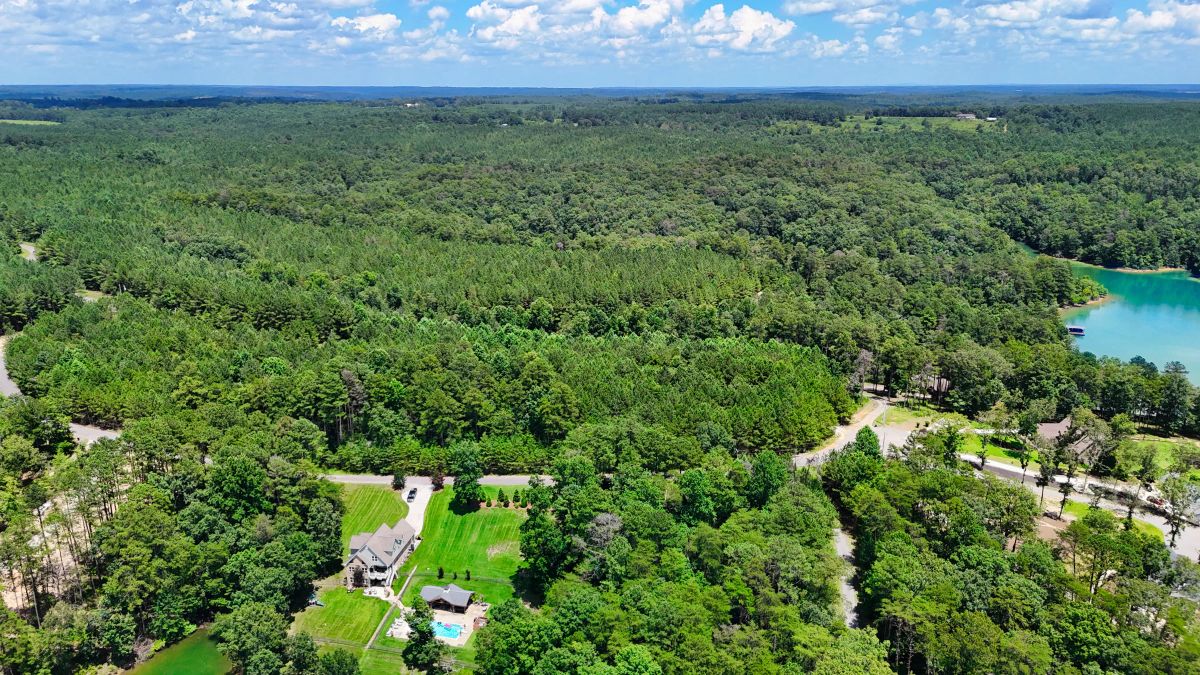 Decorative background for 1.59 Acres Near Lake w/ Public Water - LAKE VIEWS image 13