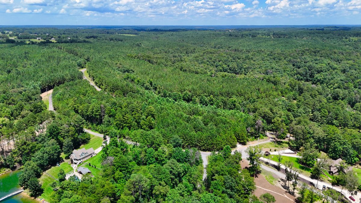 Decorative background for 1.59 Acres Near Lake w/ Public Water - LAKE VIEWS image 14
