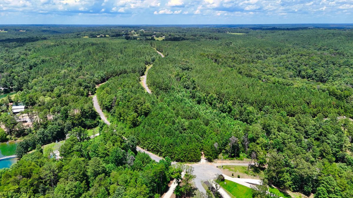 Decorative background for 1.59 Acres Near Lake w/ Public Water - LAKE VIEWS image 15