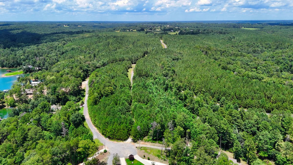 Decorative background for 1.59 Acres Near Lake w/ Public Water - LAKE VIEWS image 16