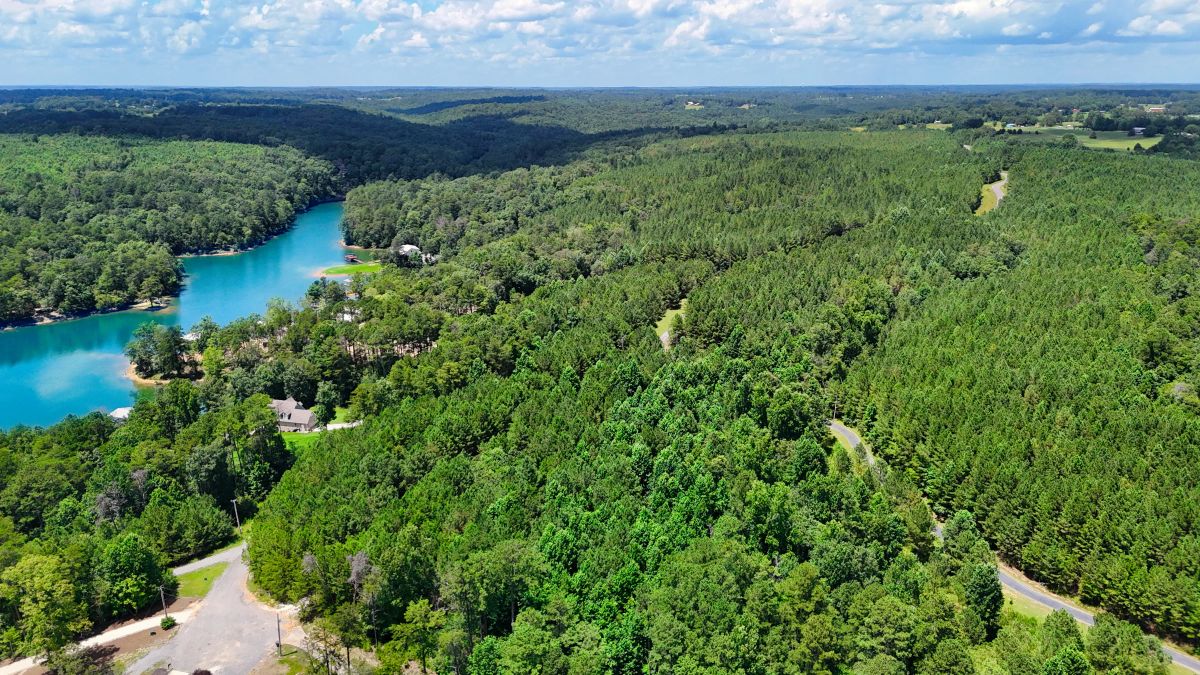 Decorative background for 1.59 Acres Near Lake w/ Public Water - LAKE VIEWS image 17
