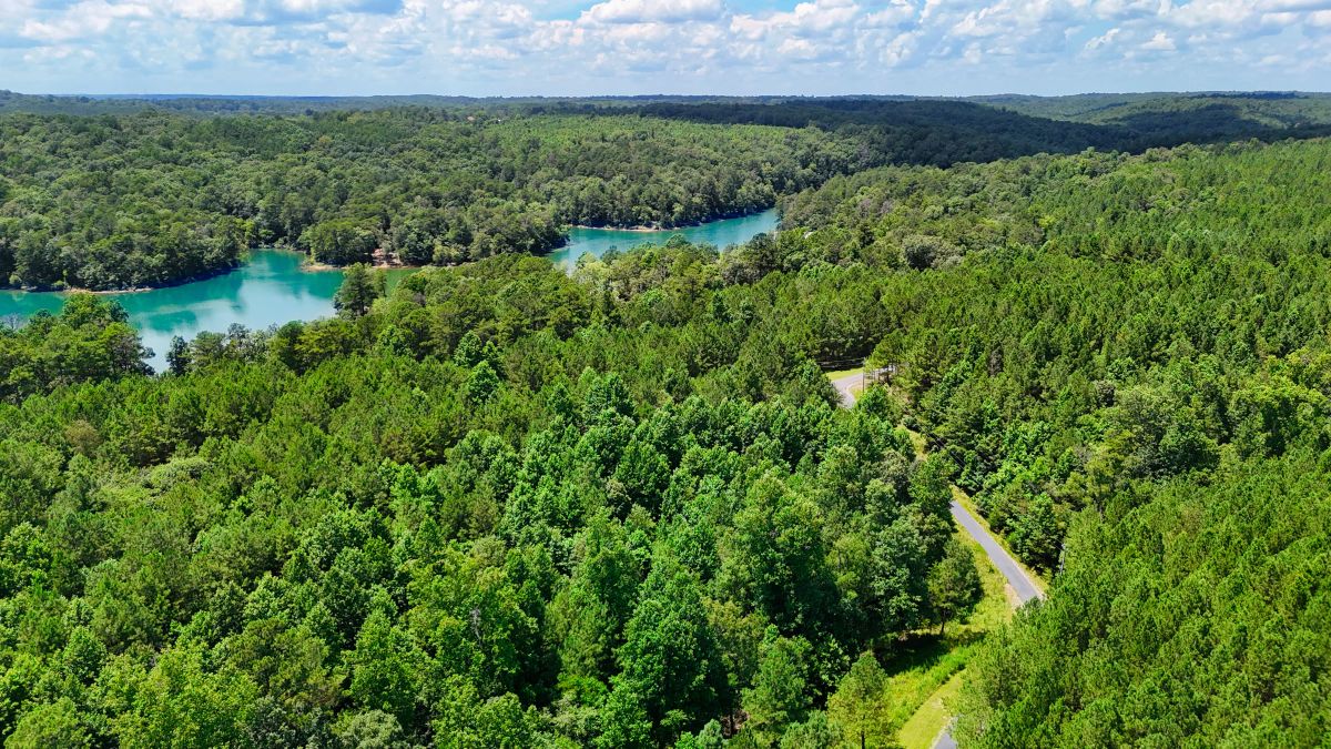 Decorative background for 1.59 Acres Near Lake w/ Public Water - LAKE VIEWS image 18