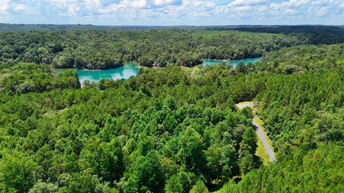 Decorative background for 1.59 Acres Near Lake w/ Public Water - LAKE VIEWS image 19