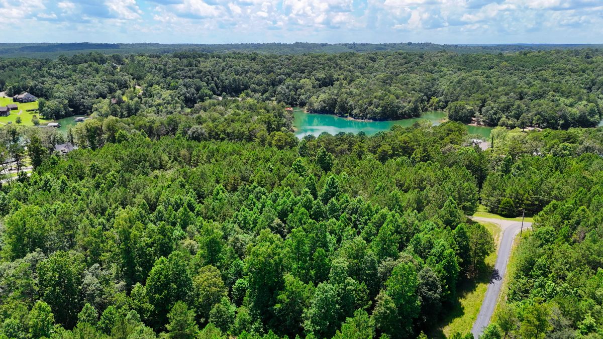 Decorative background for 1.59 Acres Near Lake w/ Public Water - LAKE VIEWS image 20