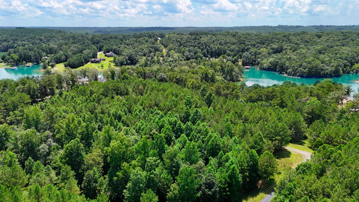 Decorative background for 1.59 Acres Near Lake w/ Public Water - LAKE VIEWS image 21