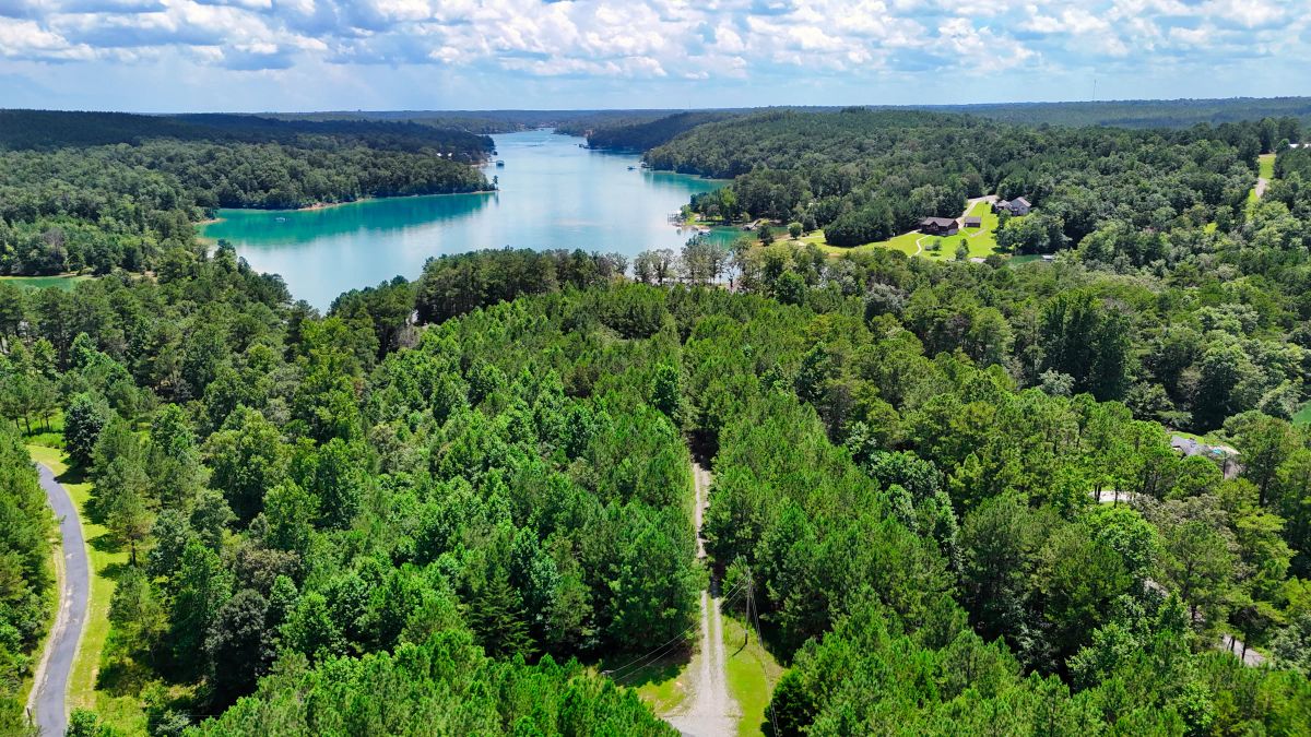 Decorative background for 1.59 Acres Near Lake w/ Public Water - LAKE VIEWS image 22