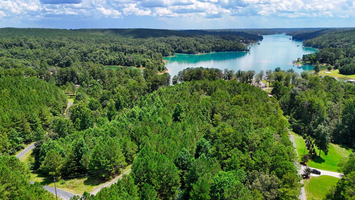 Decorative background for 1.59 Acres Near Lake w/ Public Water - LAKE VIEWS image 23
