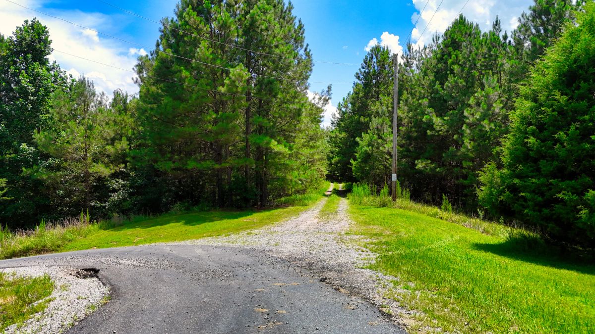 Decorative background for 1.59 Acres Near Lake w/ Public Water - LAKE VIEWS image 45