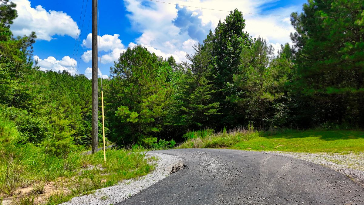 Decorative background for 1.59 Acres Near Lake w/ Public Water - LAKE VIEWS image 46