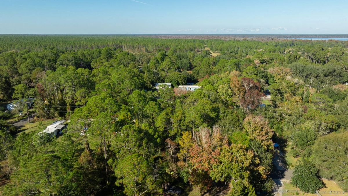 Decorative background for Florida Homesite Opportunity - 0.4 Acres in Crescent City, Water Nearby image 15