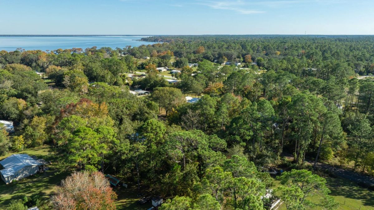 Decorative background for Florida Homesite Opportunity - 0.4 Acres in Crescent City, Water Nearby image 17