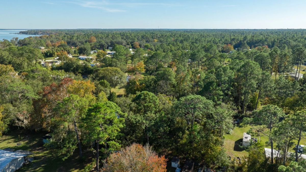 Decorative background for Florida Homesite Opportunity - 0.4 Acres in Crescent City, Water Nearby image 18