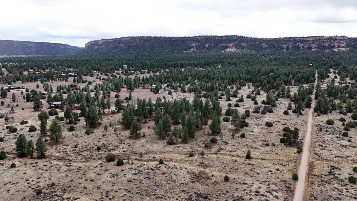 4.9 acres in Timberlake, NM – Camping Heaven! – Easy Access to Power! - Image 4