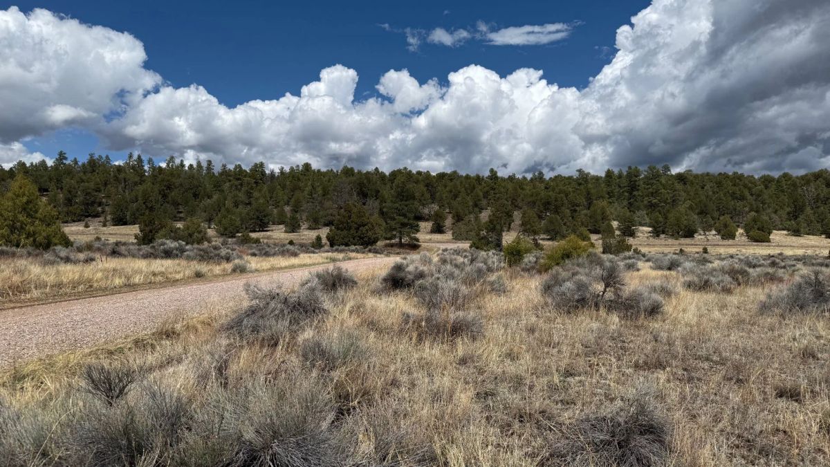 Decorative background for 4.9 acres in Timberlake, NM – Camping Heaven! – Easy Access to Power! image 10