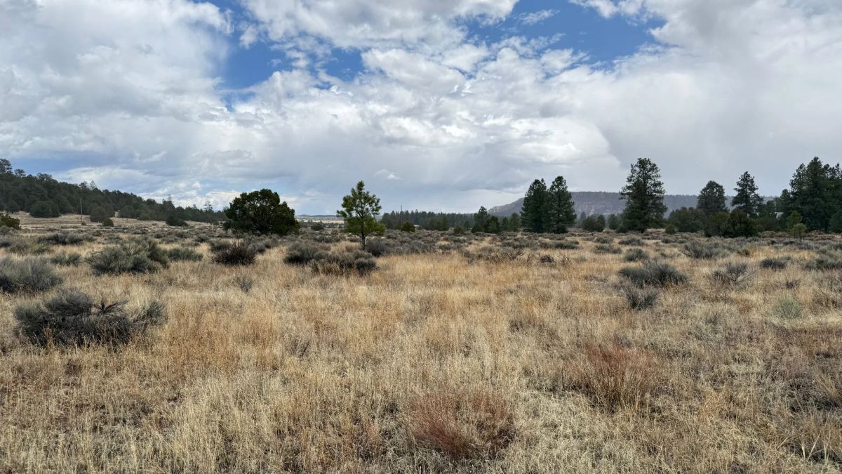 Decorative background for 4.9 acres in Timberlake, NM – Camping Heaven! – Easy Access to Power! image 15