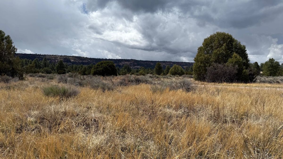 Decorative background for 4.9 acres in Timberlake, NM – Camping Heaven! – Easy Access to Power! image 18