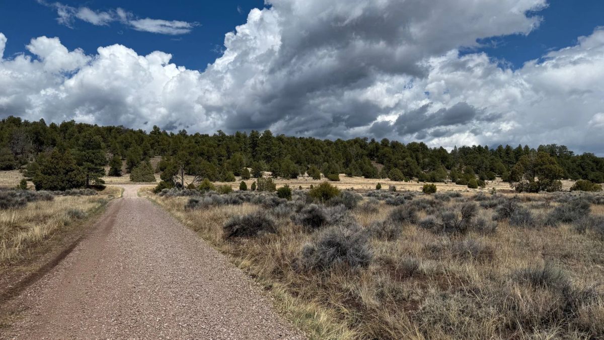 Decorative background for 4.9 acres in Timberlake, NM – Camping Heaven! – Easy Access to Power! image 19