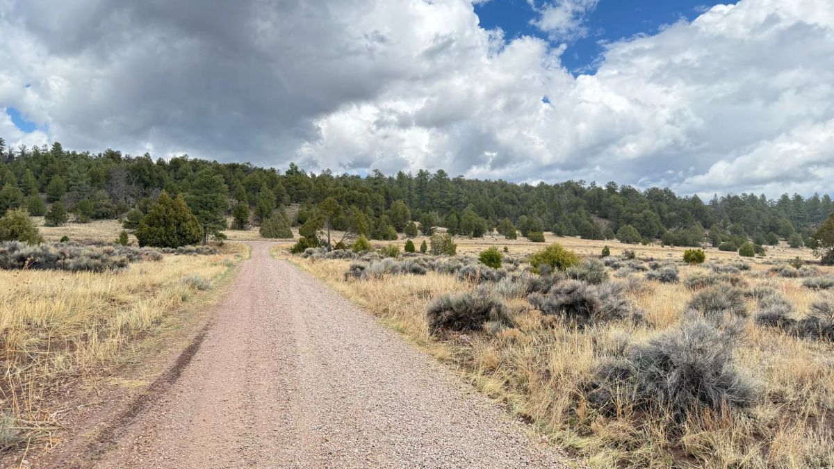 Decorative background for 4.9 acres in Timberlake, NM – Camping Heaven! – Easy Access to Power! image 23