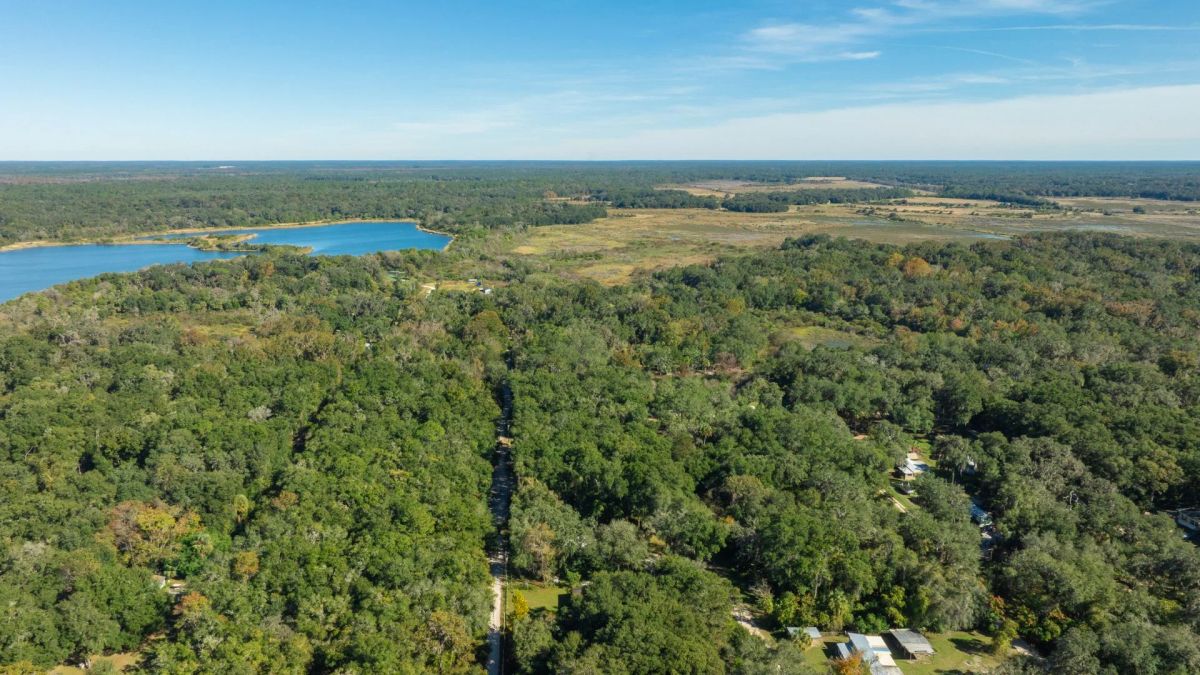 0.38 Acre Citra FL Property – Proximity to Gainesville and US-301 for Easy Access - Image 4
