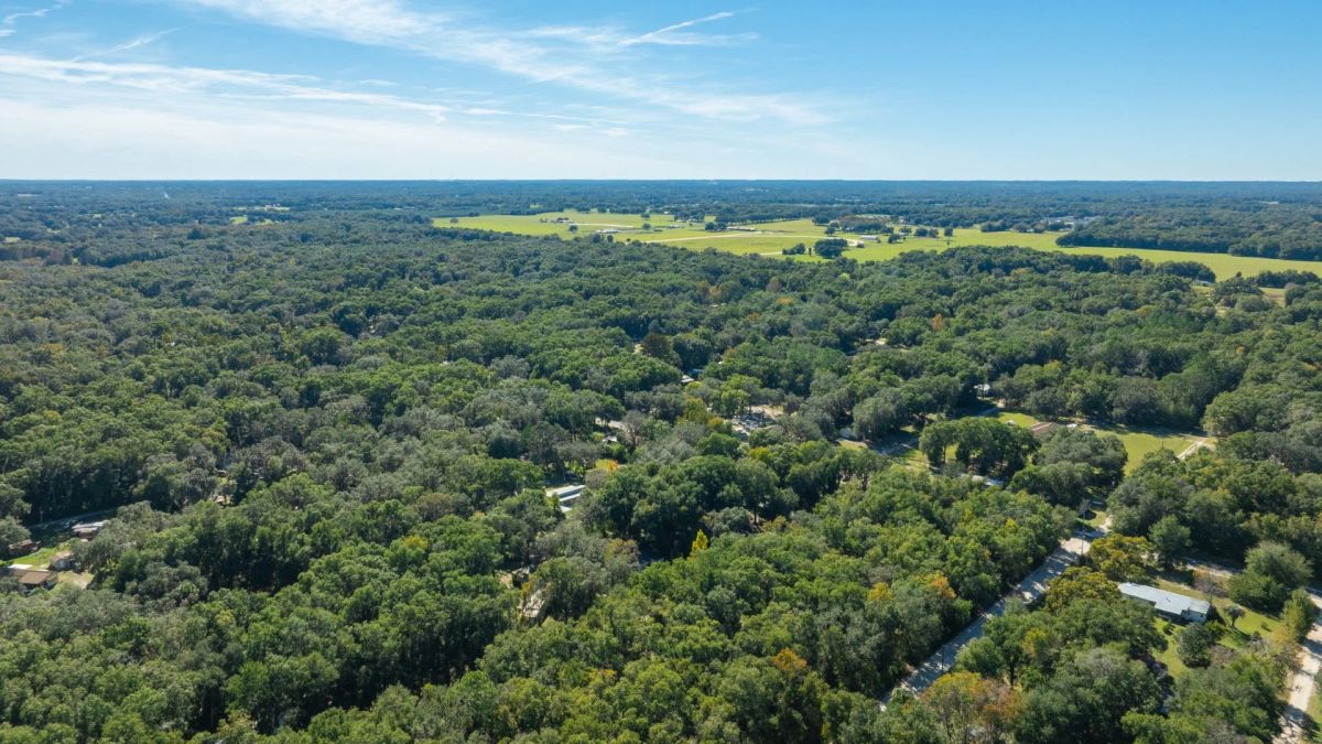 Decorative background for 0.38 Acre Citra FL Property – Proximity to Gainesville and US-301 for Easy Access image 21