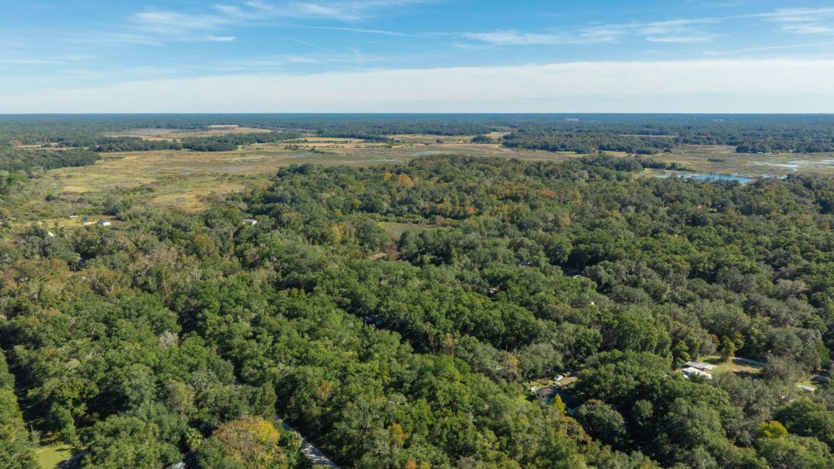 Decorative background for 0.38 Acre Citra FL Property – Proximity to Gainesville and US-301 for Easy Access image 22