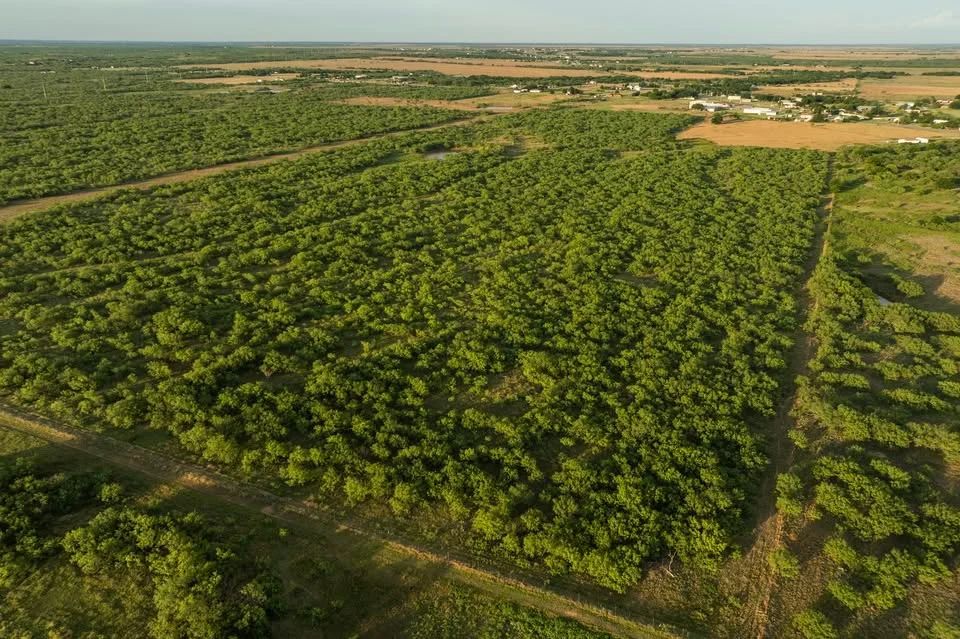 11 Acres Clay County | $5,500 Down | $1,188/mo | 10 min Wichita Falls - Image 3