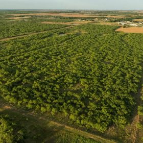 11 Acres Clay County | $5,500 Down | $1,188/mo | 10 min Wichita Falls in Clay County, TX