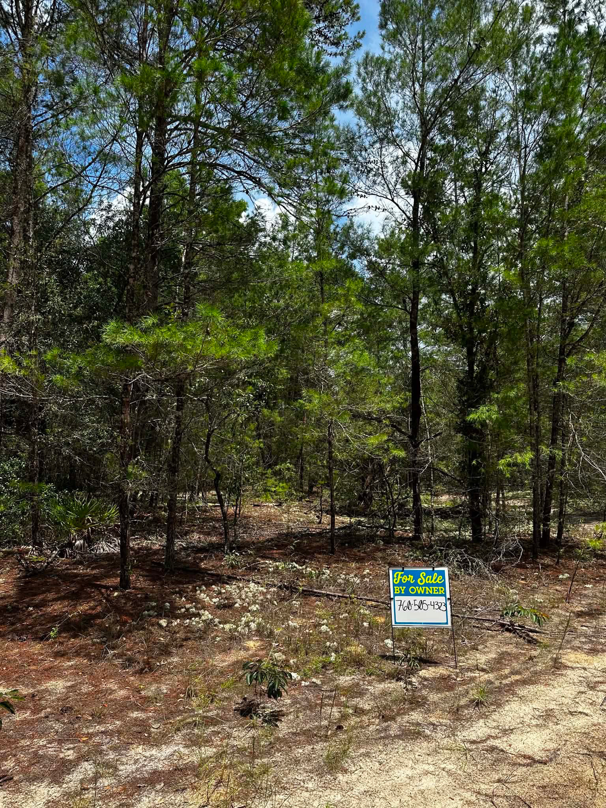 Buildable lot - Image 2