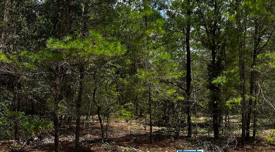 Buildable lot in Putnam County, FL