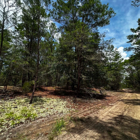 Buildable lot in Putnam County, FL