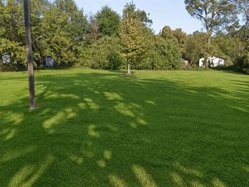 Decorative background for 0.17 Acres for Sale in Jackson, Mississippi image 10