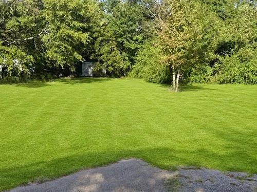 Decorative background for 0.17 Acres for Sale in Jackson, Mississippi image 11