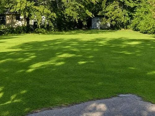 Decorative background for 0.17 Acres for Sale in Jackson, Mississippi image 12