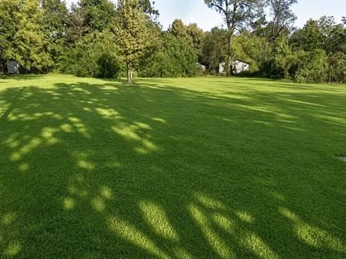 Decorative background for 0.17 Acres for Sale in Jackson, Mississippi image 13