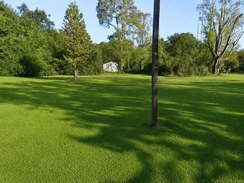 Decorative background for 0.17 Acres for Sale in Jackson, Mississippi image 16