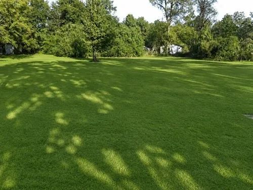 Decorative background for 0.17 Acres for Sale in Jackson, Mississippi image 22