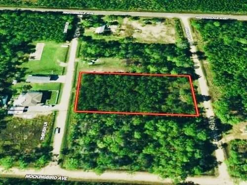 Decorative background for 0.92 Acres for Sale in Bay Saint Louis, Mississippi image 12