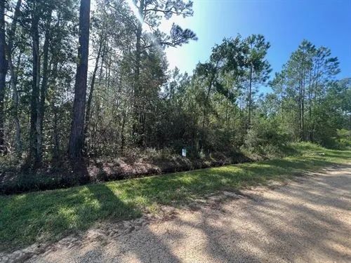 Decorative background for 0.92 Acres for Sale in Bay Saint Louis, Mississippi image 13