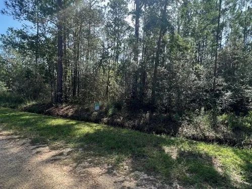 Decorative background for 0.92 Acres for Sale in Bay Saint Louis, Mississippi image 16