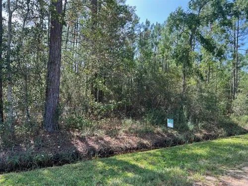 Decorative background for 0.92 Acres for Sale in Bay Saint Louis, Mississippi image 17