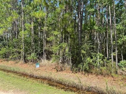Decorative background for 0.92 Acres for Sale in Bay Saint Louis, Mississippi image 18
