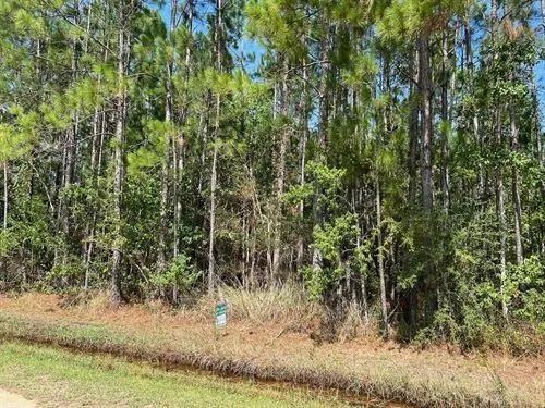 Decorative background for 0.92 Acres for Sale in Bay Saint Louis, Mississippi image 19