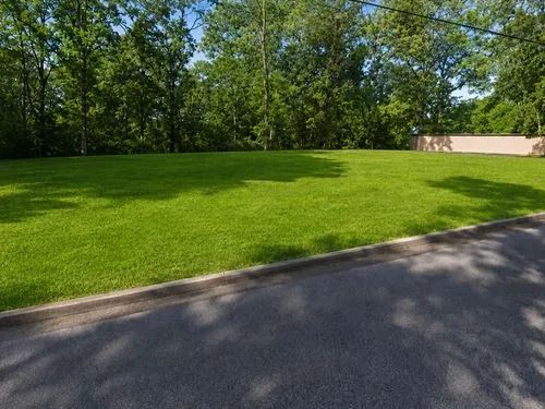 Decorative background for 0.17 Acres for Sale in Laurel, Mississippi image 6