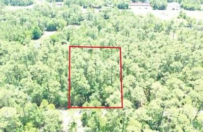 0.50 Acres for Sale in Bay St. Louis, Mississippi