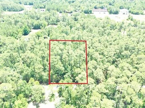0.50 Acres for Sale in Bay St. Louis, Mississippi in Hancock County, MS
