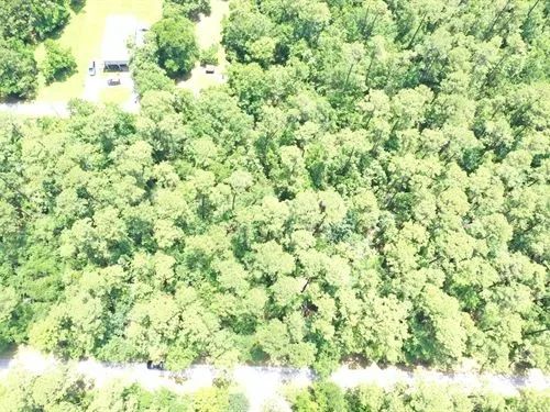 0.50 Acres for Sale in Bay St. Louis, Mississippi in Hancock County, MS