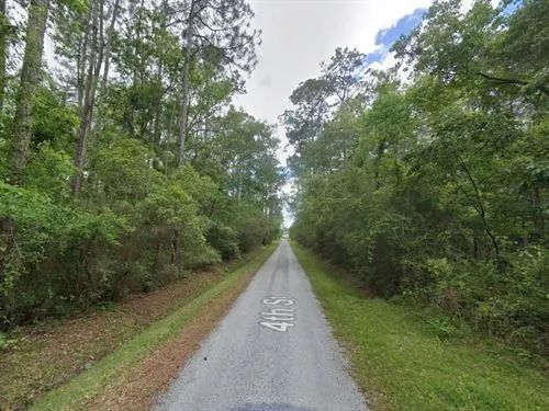 Decorative background for 0.50 Acres for Sale in Bay St. Louis, Mississippi image 5